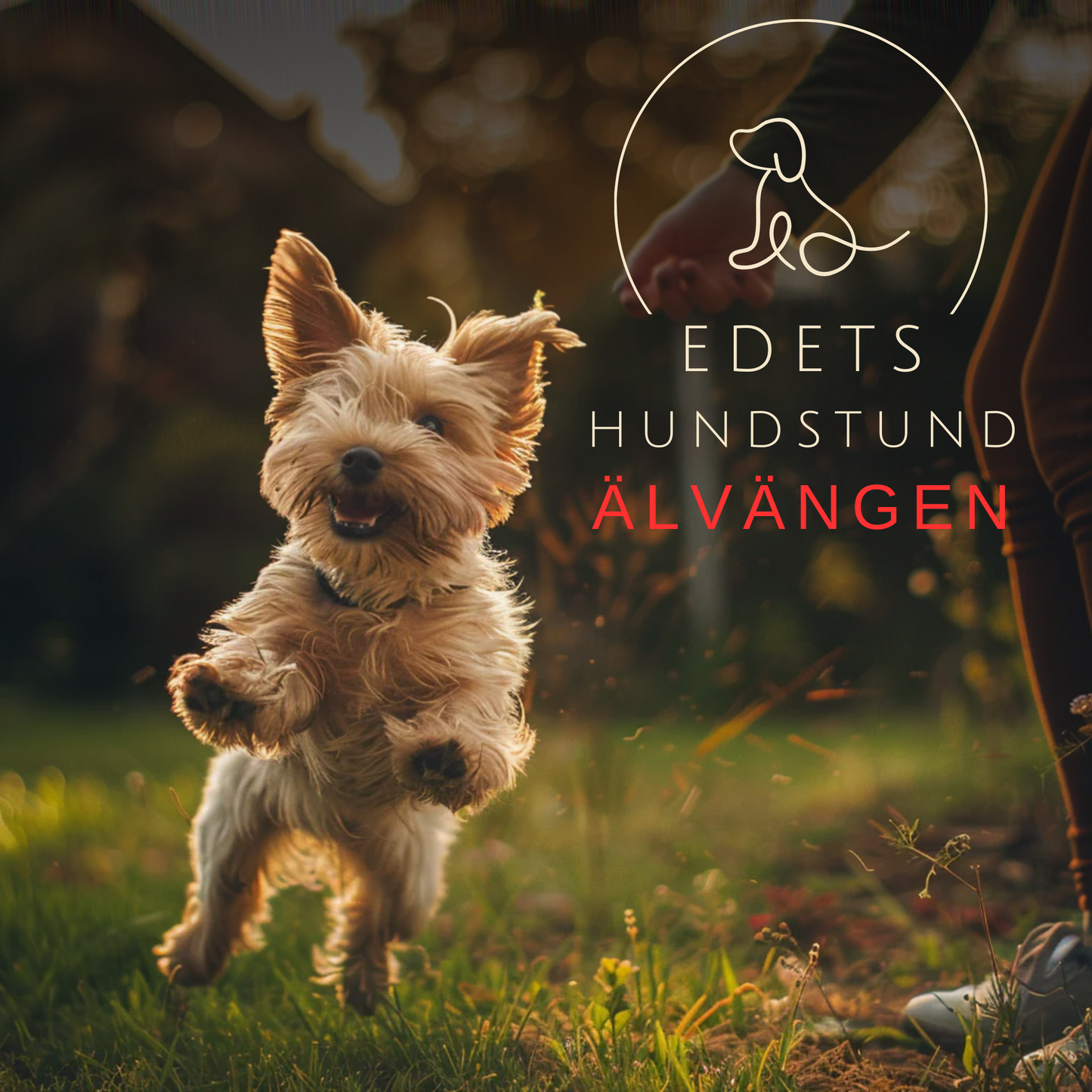 Edets hundstund i Älvängen - För alla