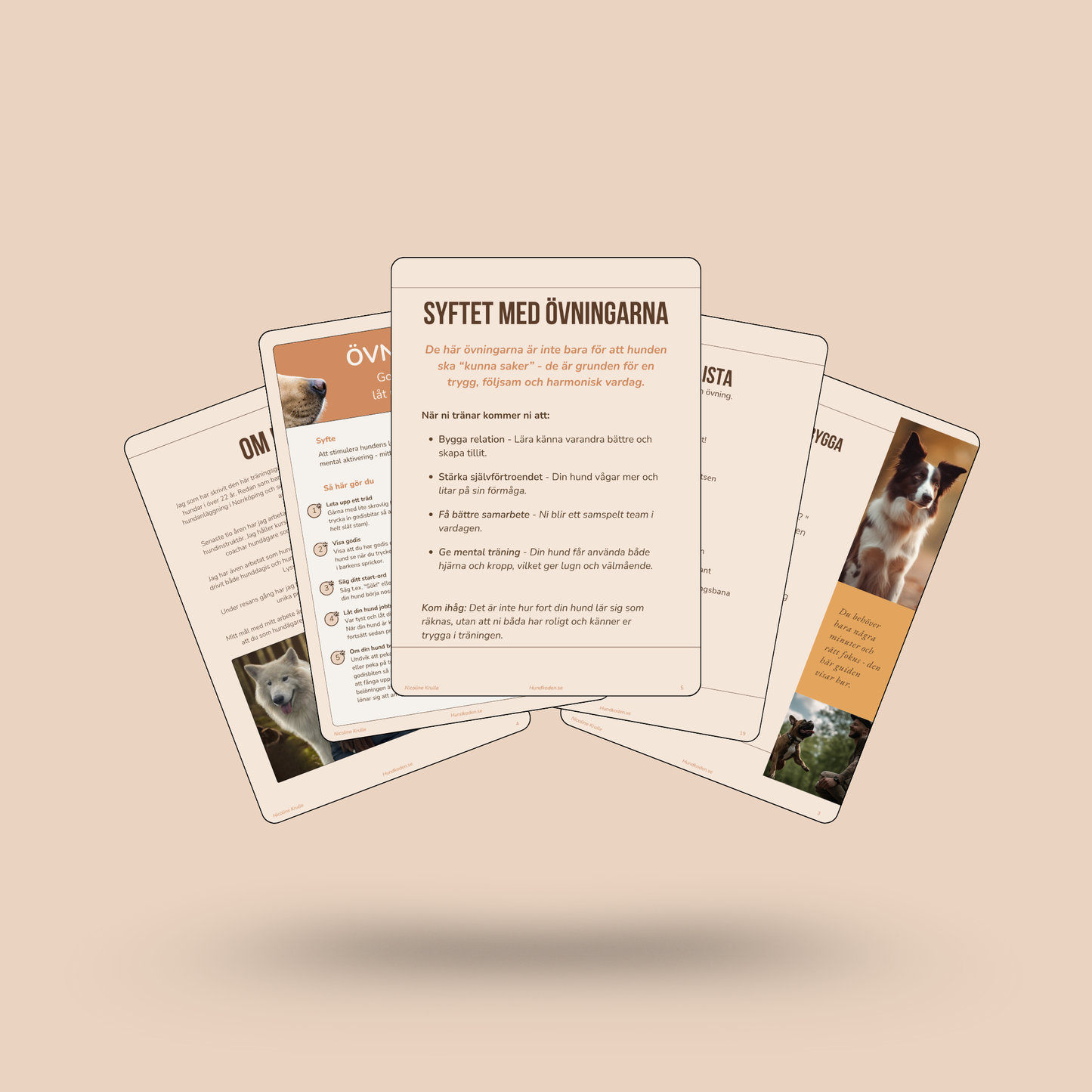 Digital träningsguide: De 10 bästa övningarna för en starkare relation