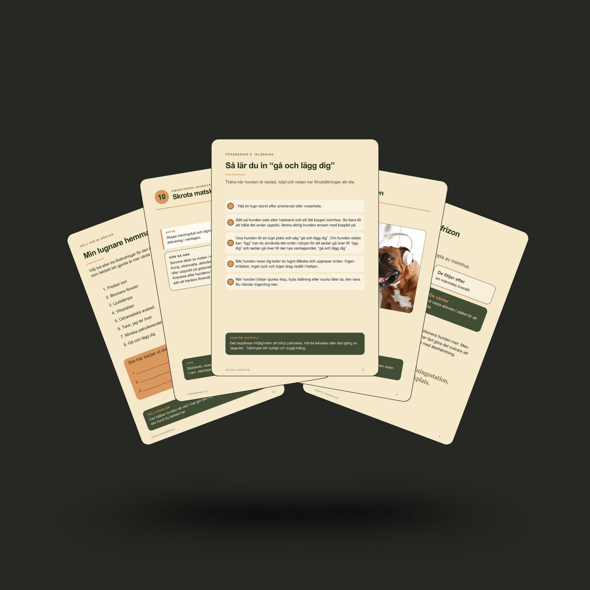 E-guide: Lugnare hemma