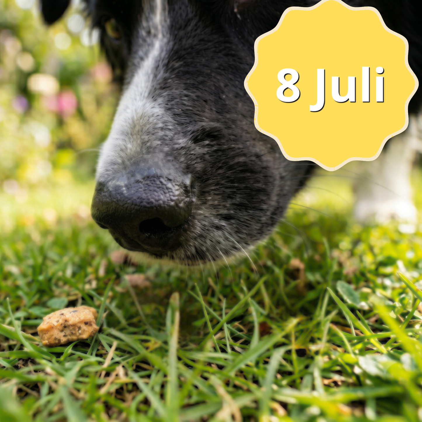 Minikurs: đ Sommarkul med nosen!