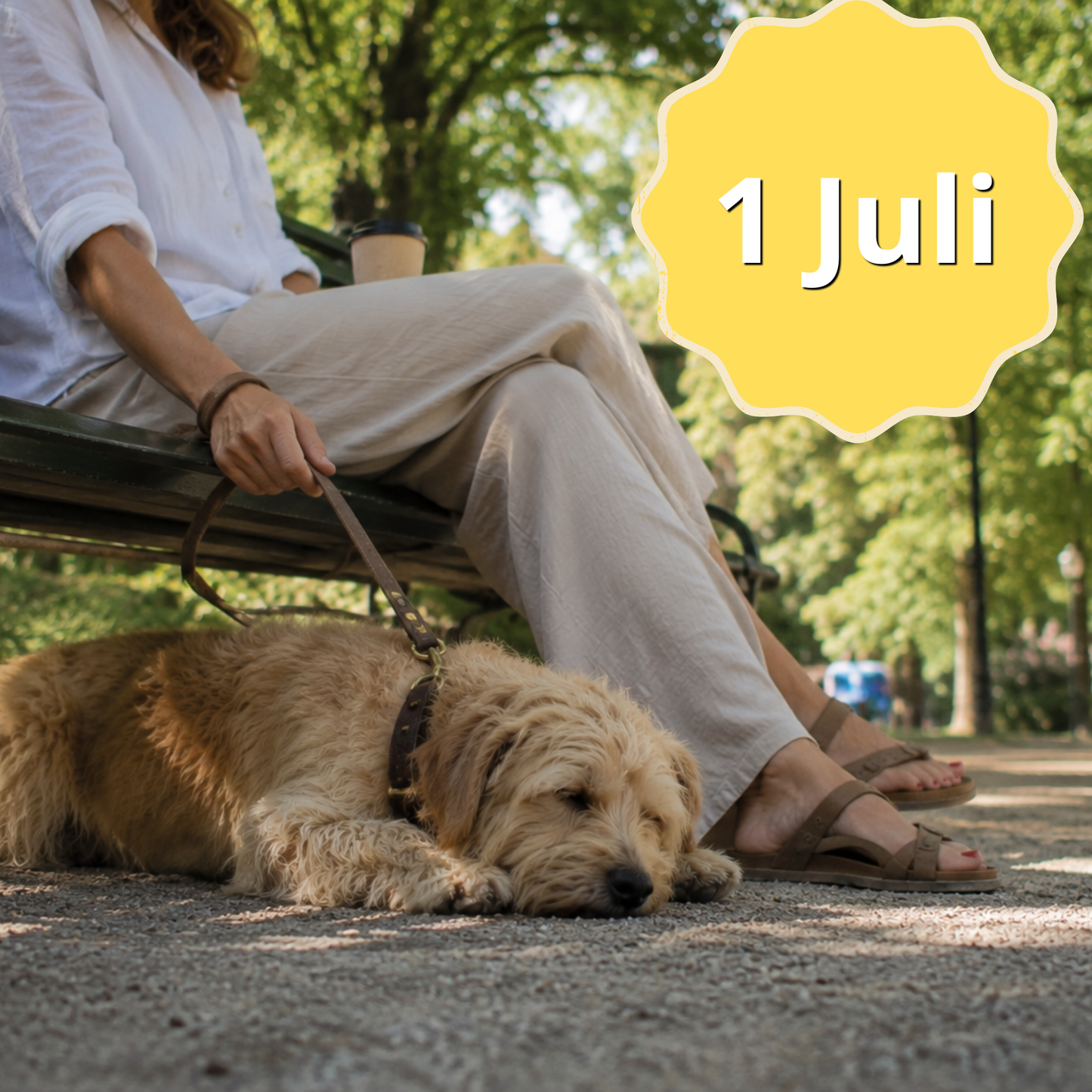 Minikurs: đł Sommarlugn - Konsten att göra ingenting