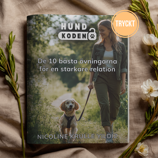 De 10 bästa övningarna för en starkare relation