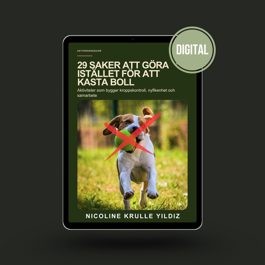 E-guide: 29 saker att göra istället för att kasta boll