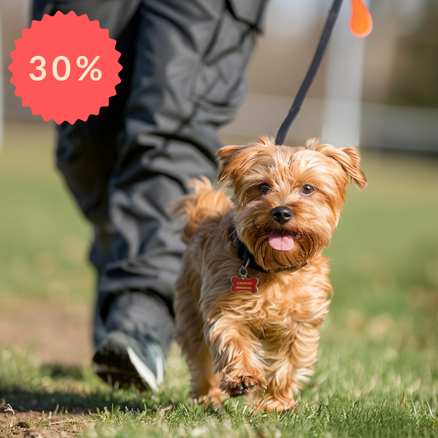 Rallylydnad som aktivering