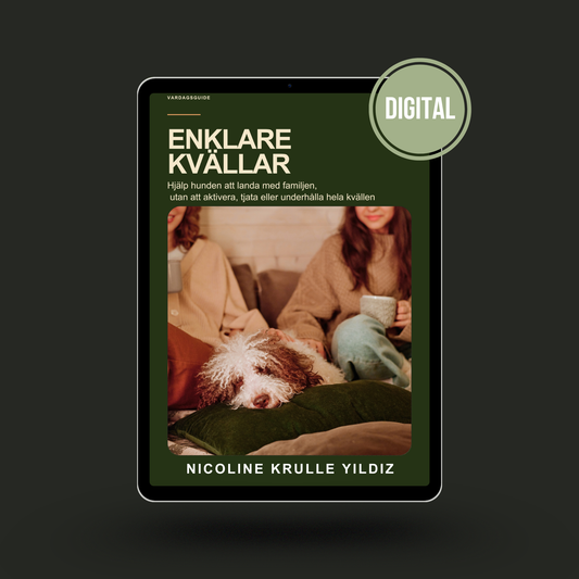 E-guide: Enklare kvällar