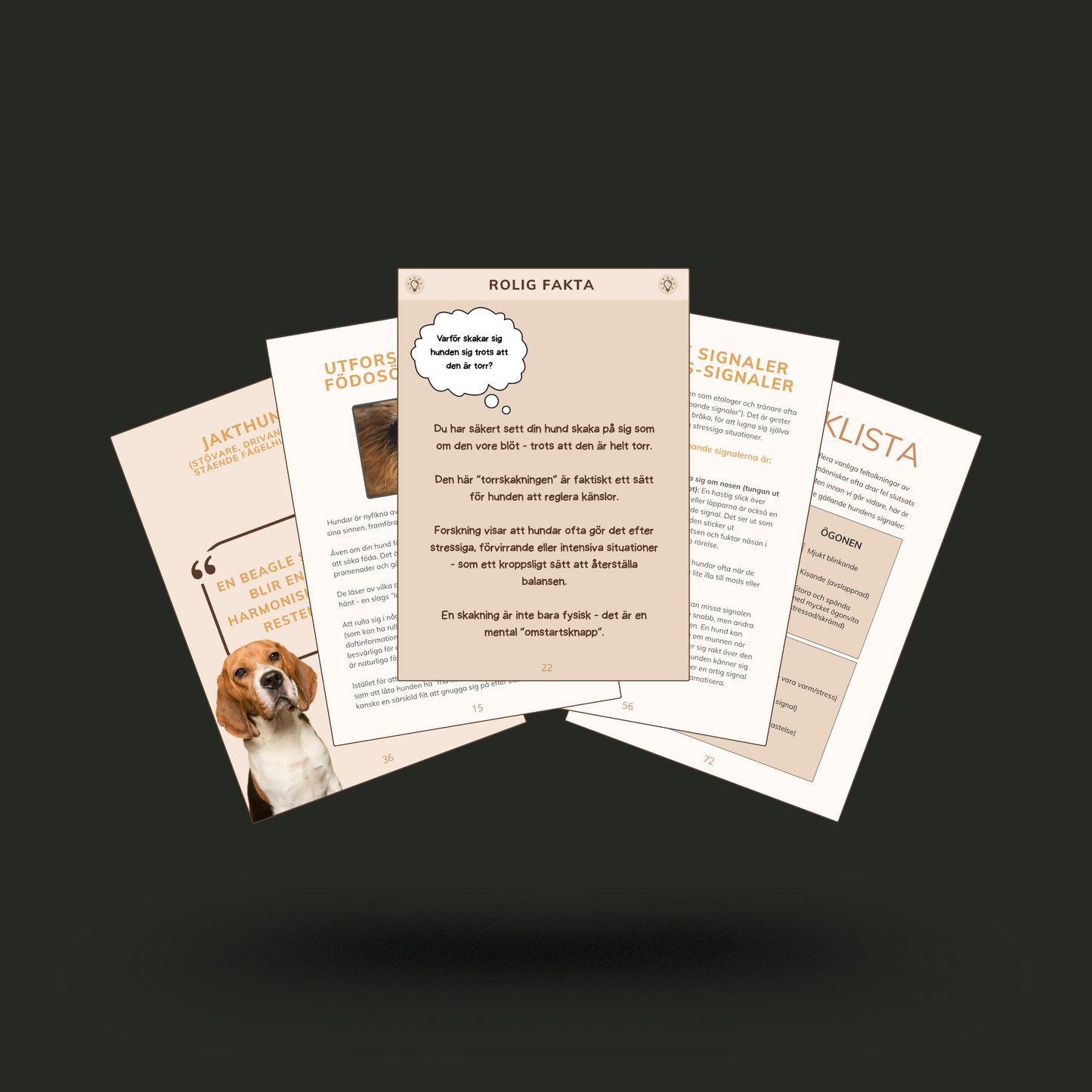 E-bok: Lyssna med öppna ögon