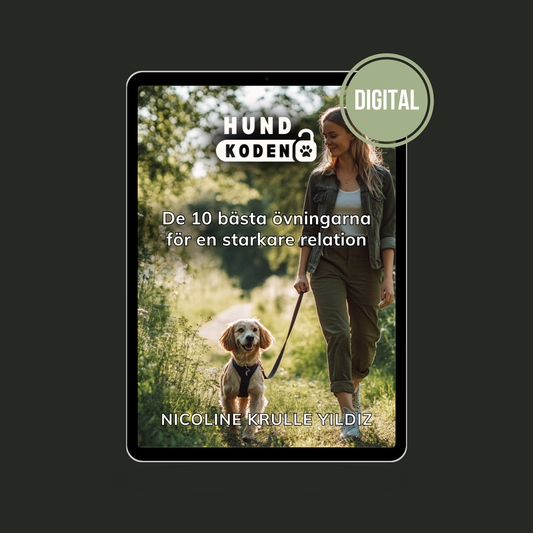 E-guide: De 10 bästa övningarna för en starkare relation