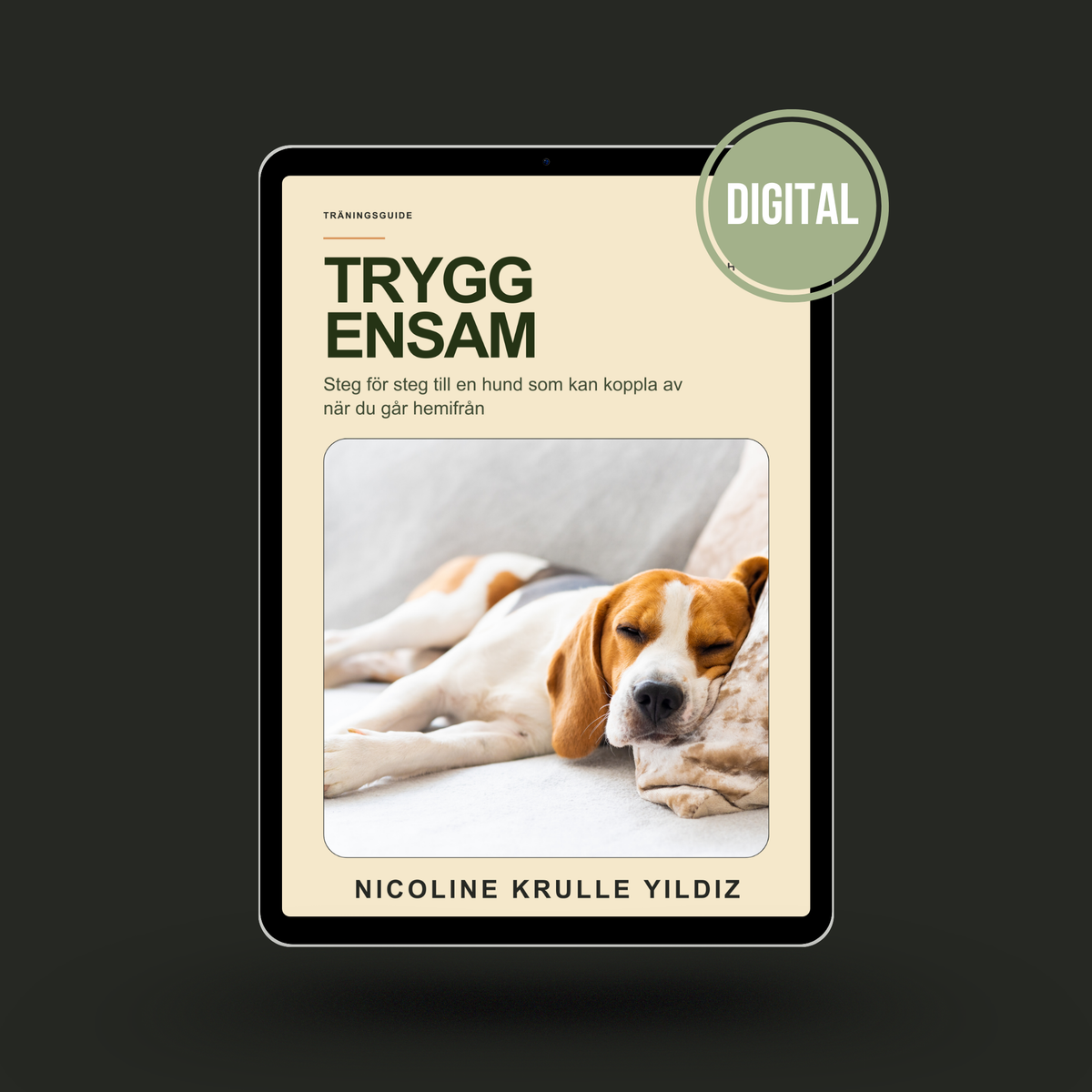 E-guide: Trygg Ensam
