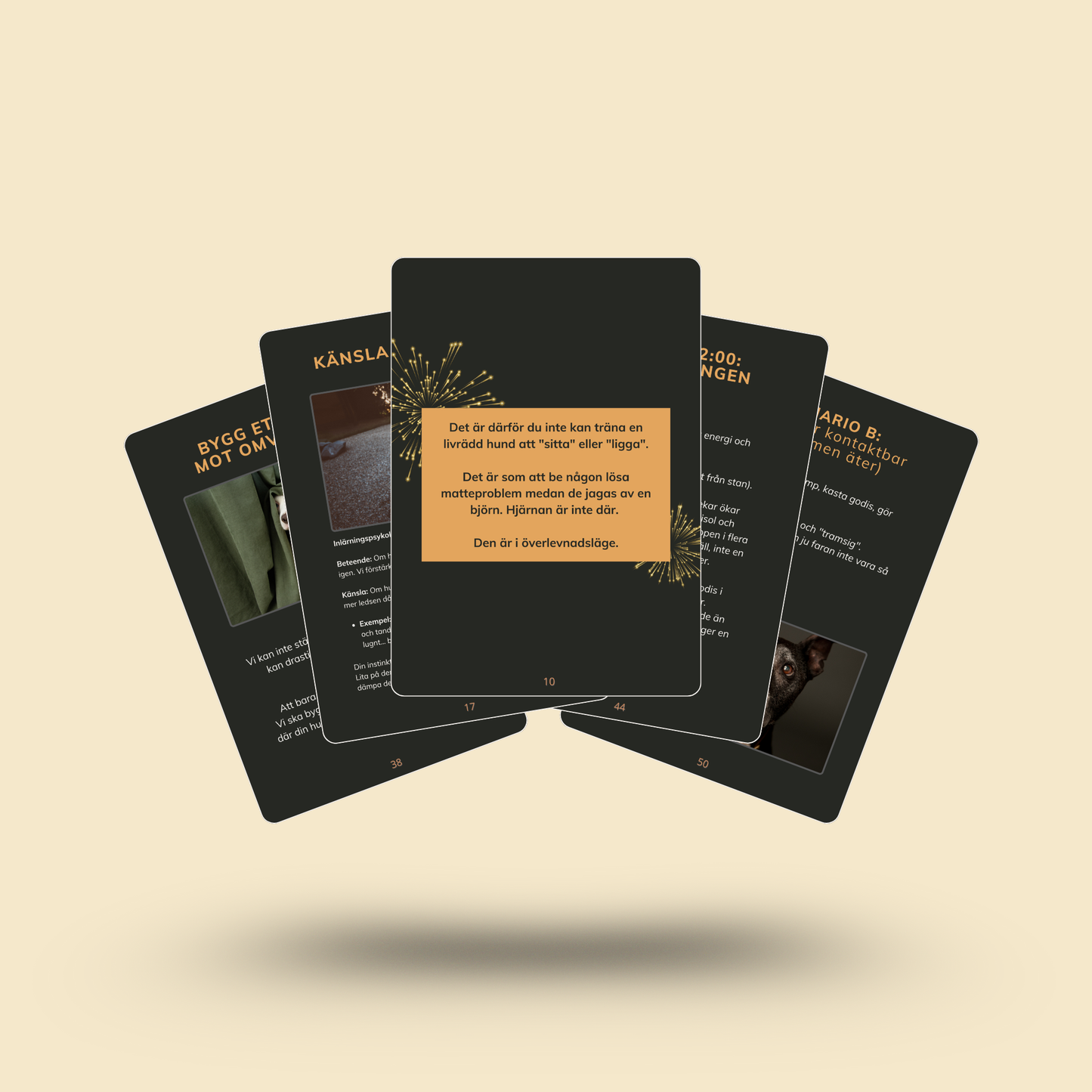 E-guide: Tryggt Nyår - Den ultimata guiden för en harmonisk Nyårsafton