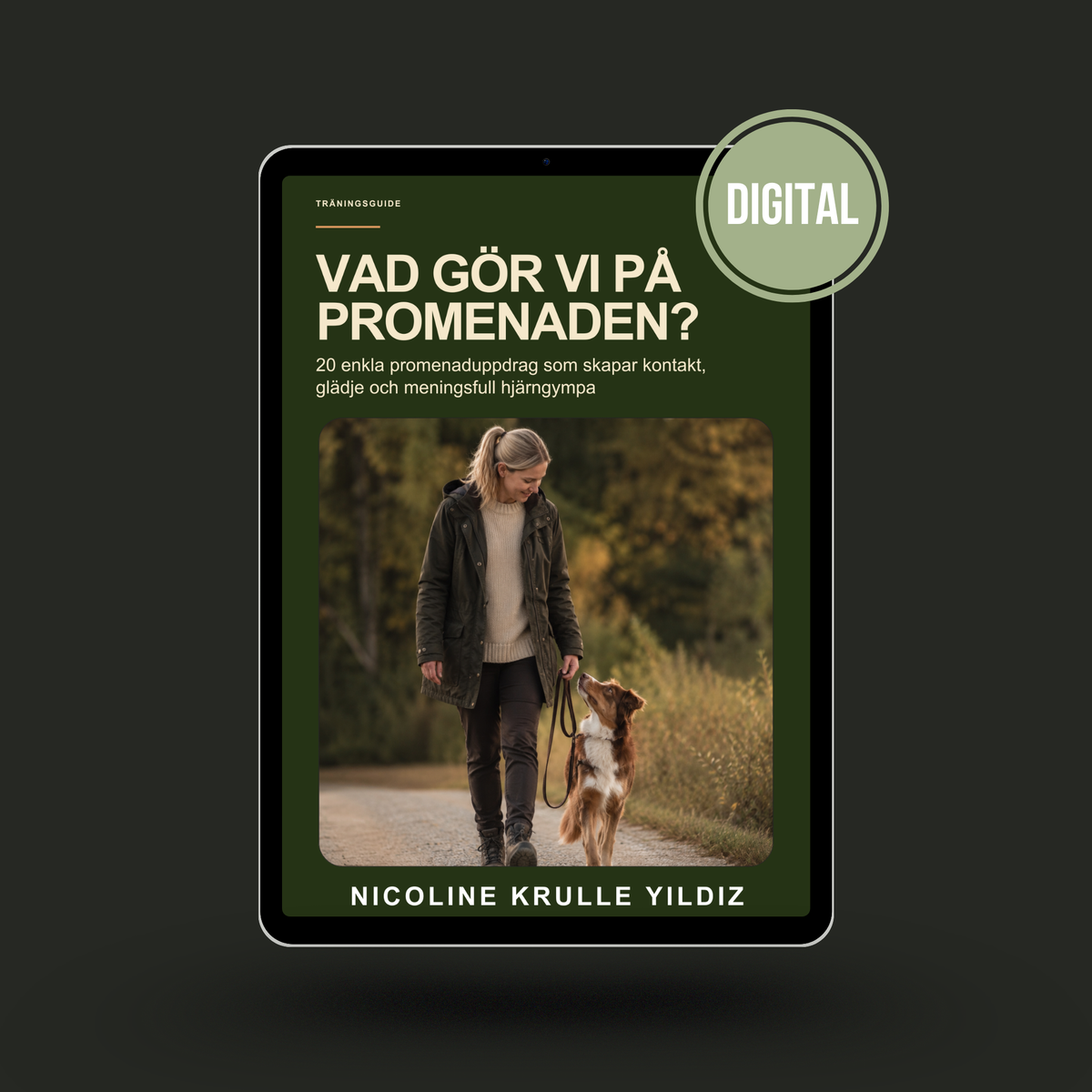 E-guide: Vad gör vi på promenaden?