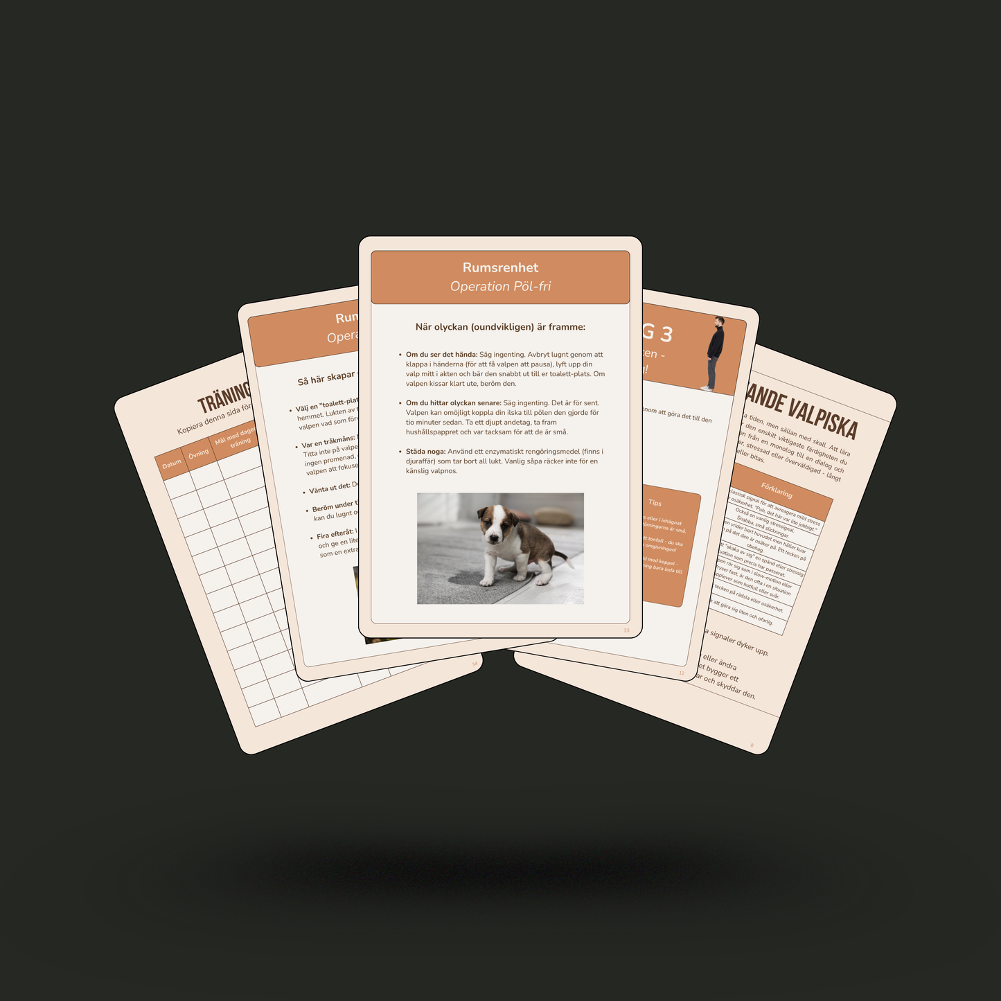 E-guide: Den stora valphandboken