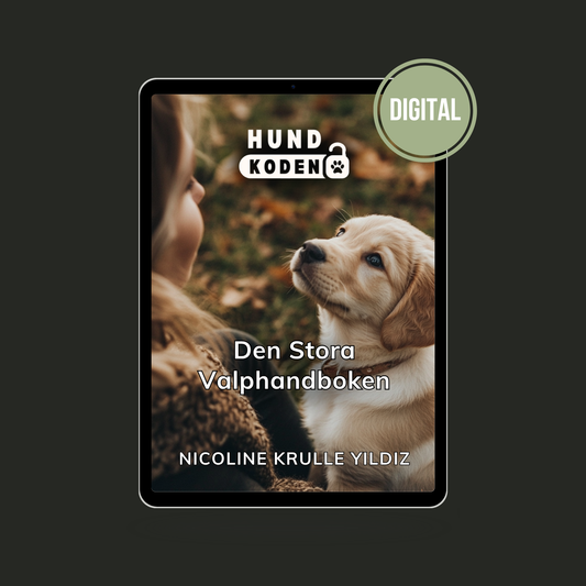 E-guide: Den stora valphandboken