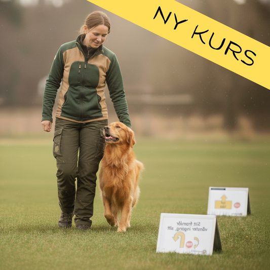 Rallylydnad som aktivering - Fortsättningkurs