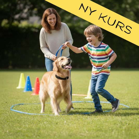 Barn & Hund - Kursen för små hundtränare (6-13 år) Våren 2026 🌸