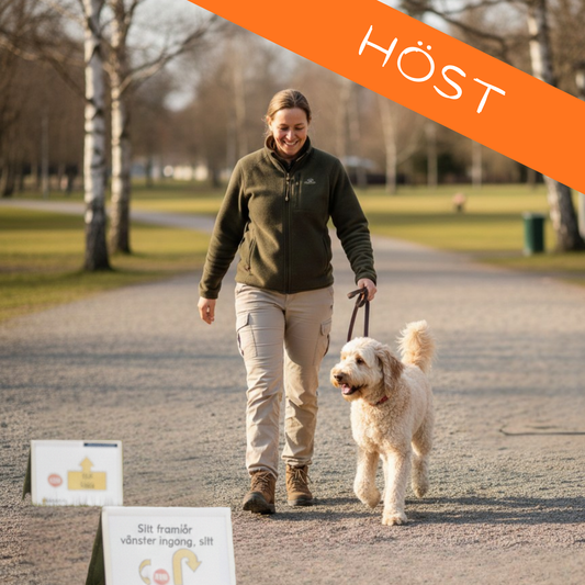 Rallylydnad som aktivering