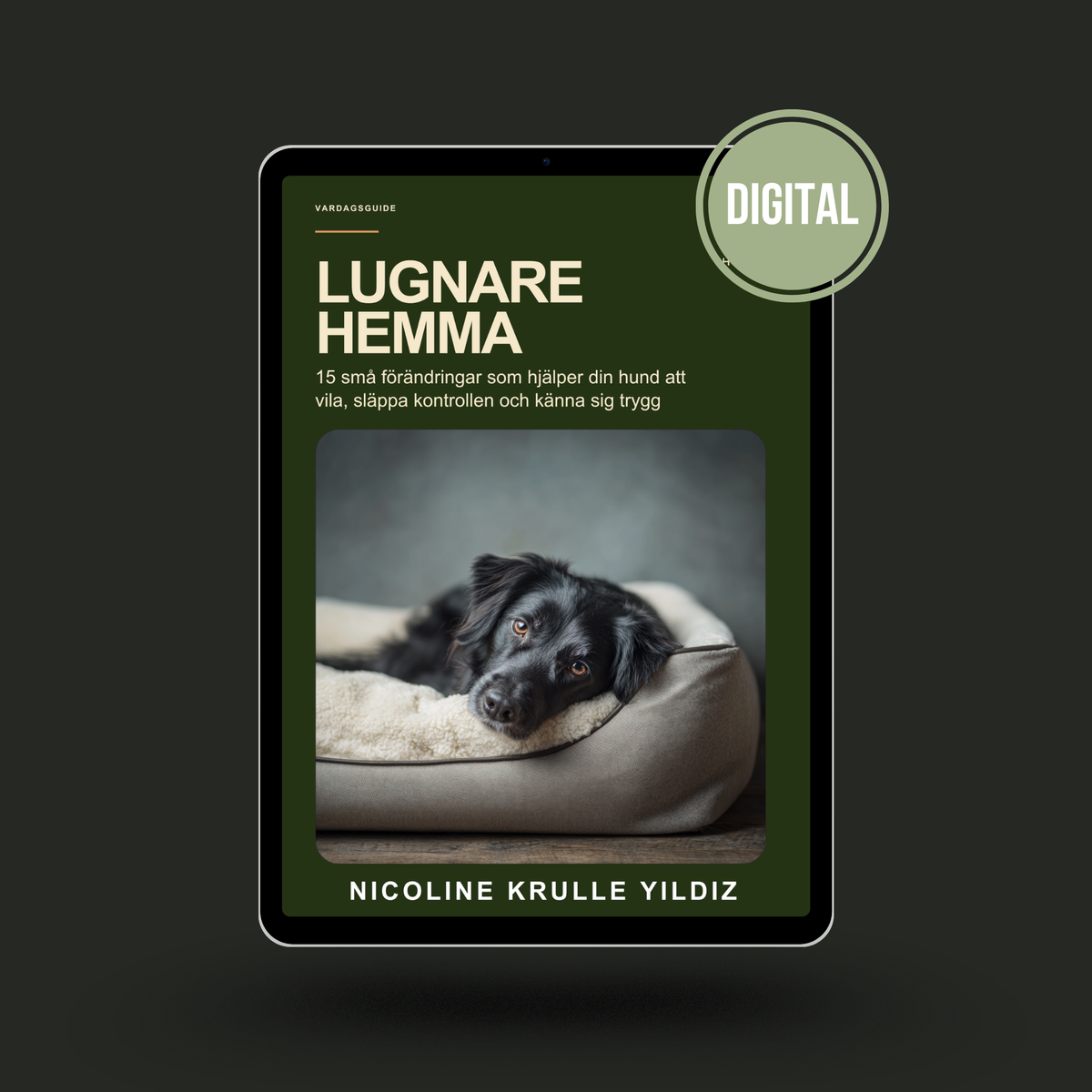 E-guide: Lugnare hemma