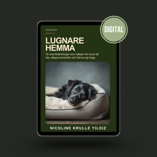 E-guide: Lugnare hemma