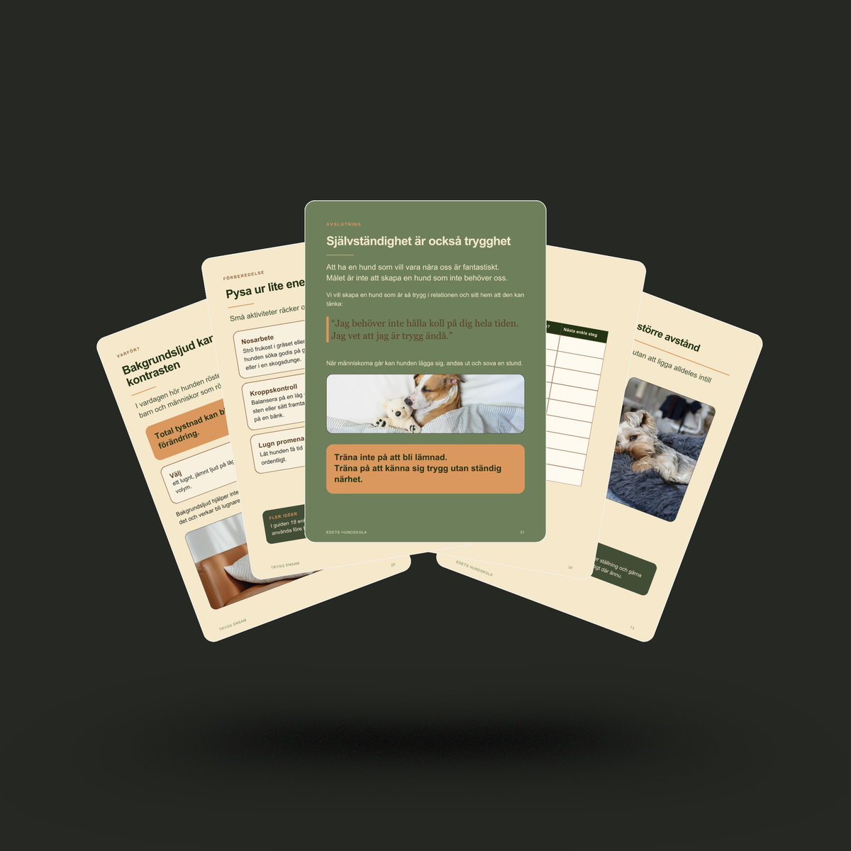 E-guide: Trygg Ensam